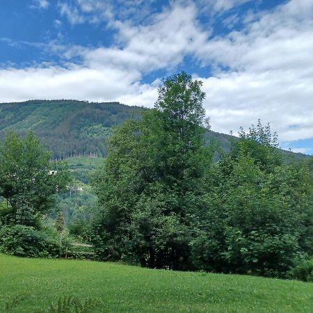 Ferienwohnung Stubnerblick Bad Gastein Exterior foto